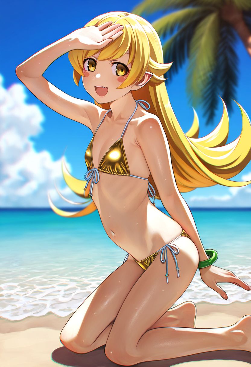 美图,物语系列,动漫