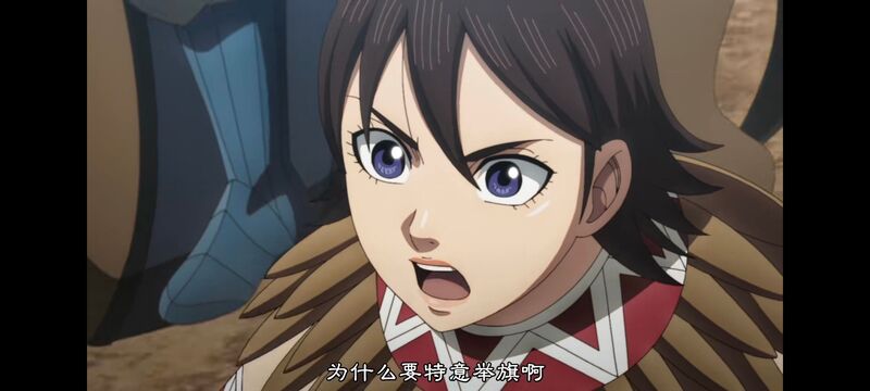 王者天下,动画,动漫,番剧,ACG