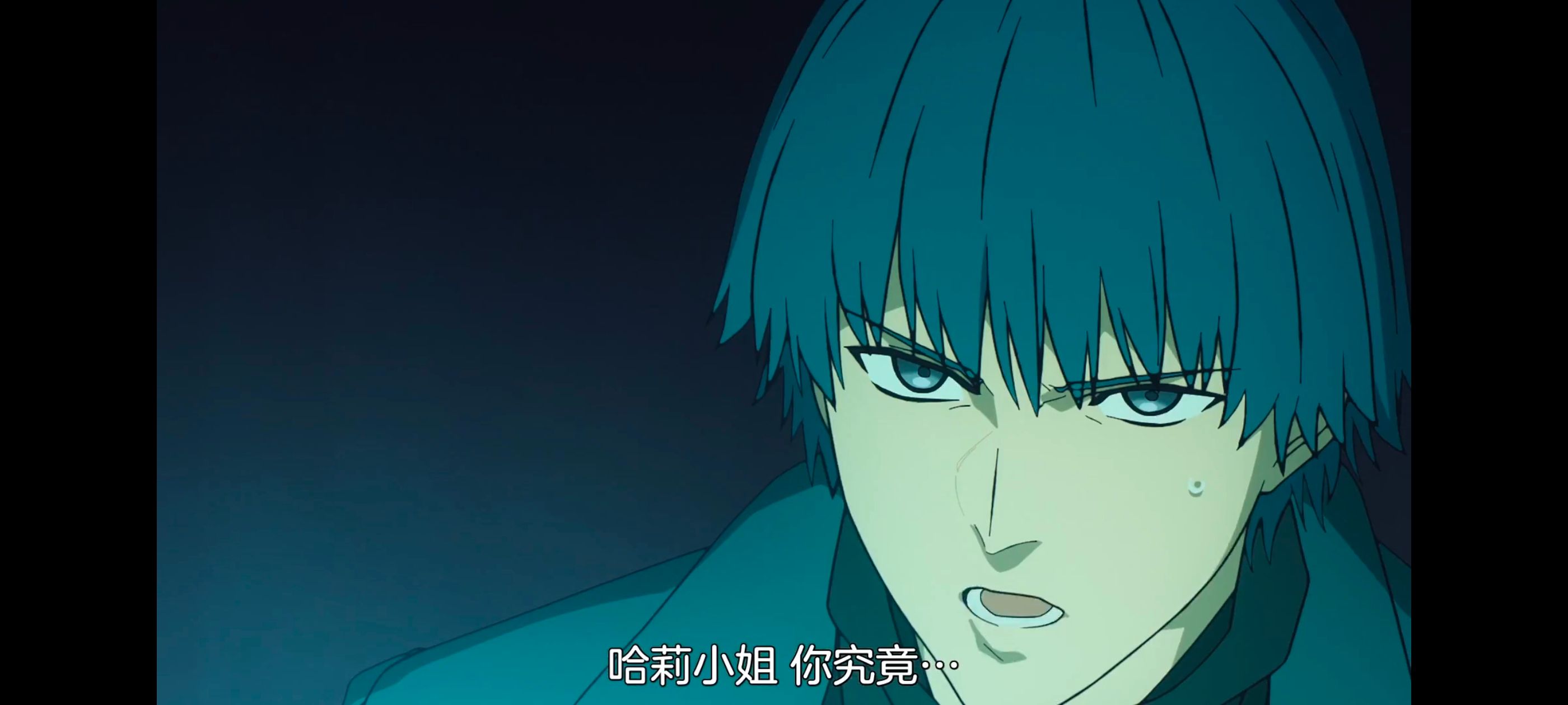 FATE,命运奇异赝品,FatestrangeFake,动画,动漫,番剧,ACG