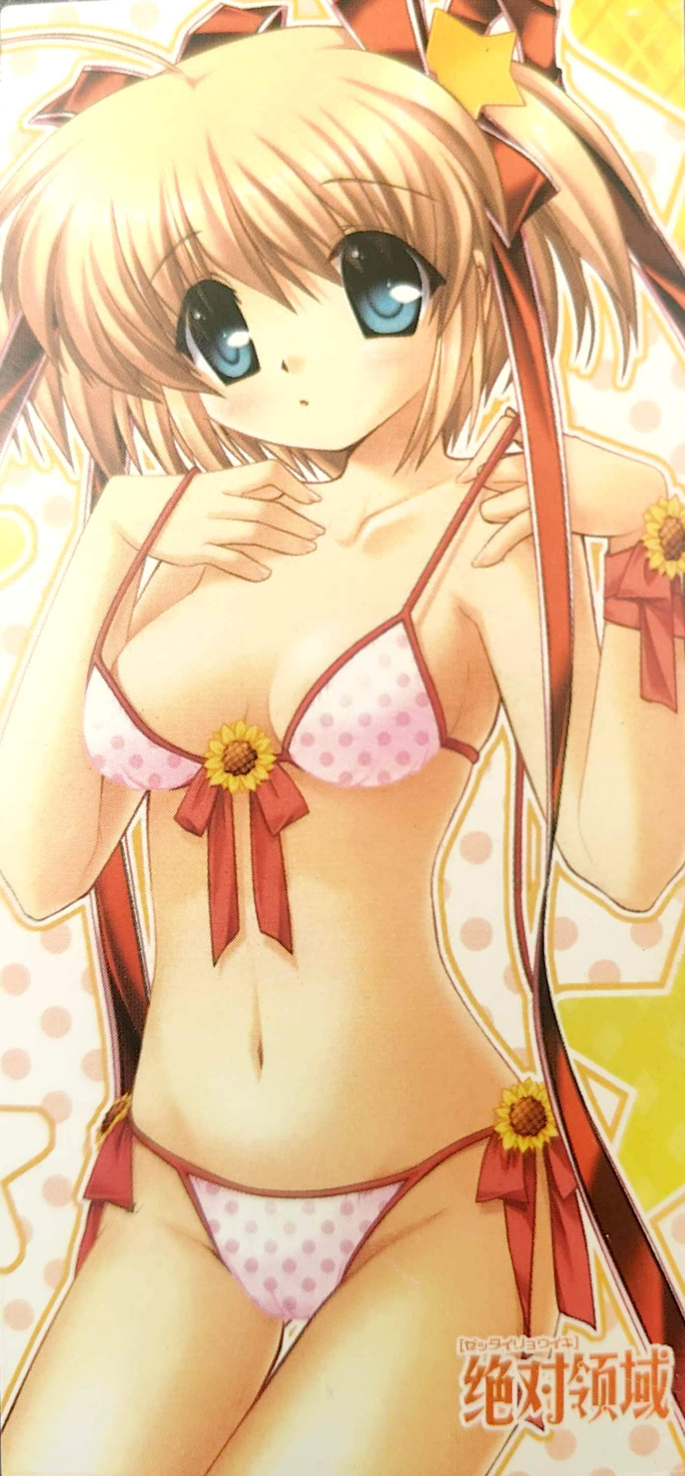 GALgame,恋爱游戏,杂志,ACG,二次元,绝对领域,脏翅膀,秽翼的尤斯蒂娅,八月社,命运石之门