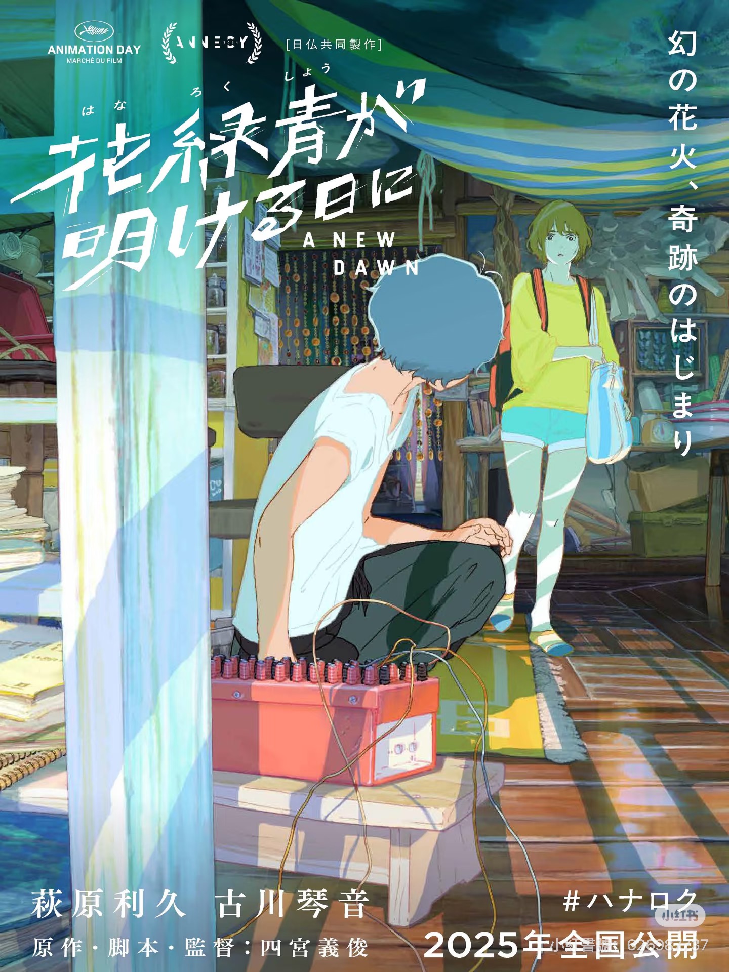 莫吉托观察,蓝与白工作室