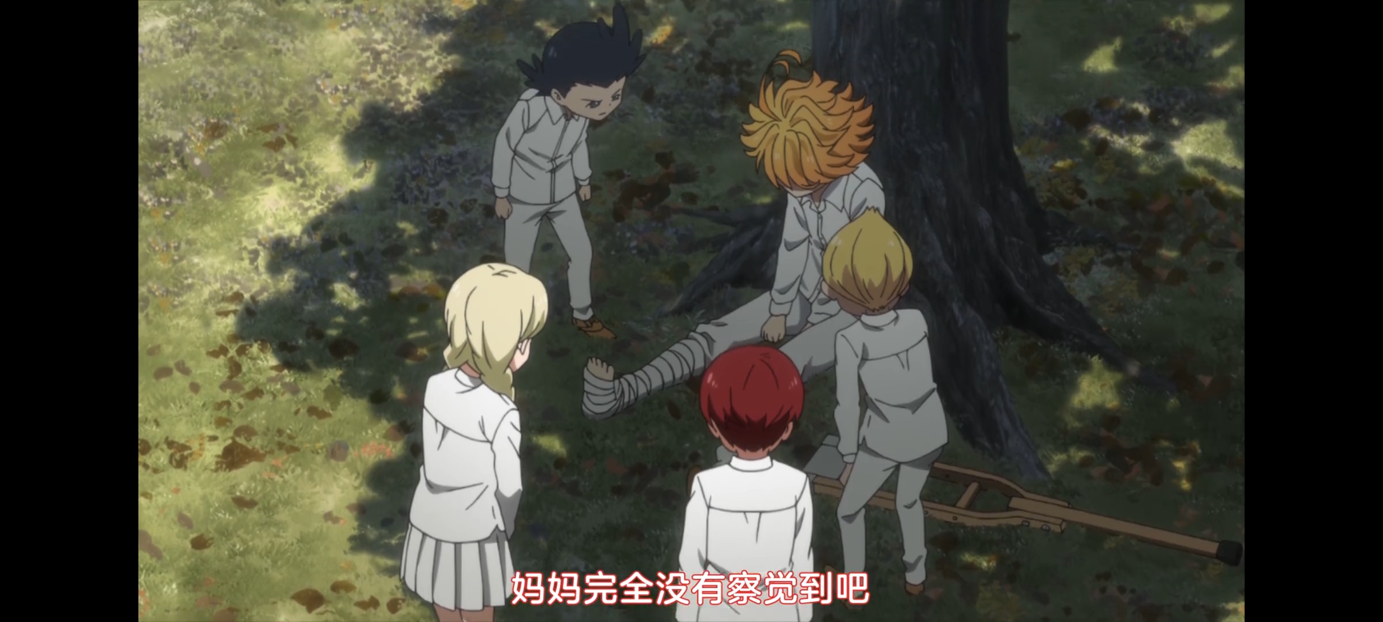 约定的梦幻岛,动画,动漫,番剧,二次元,ACG