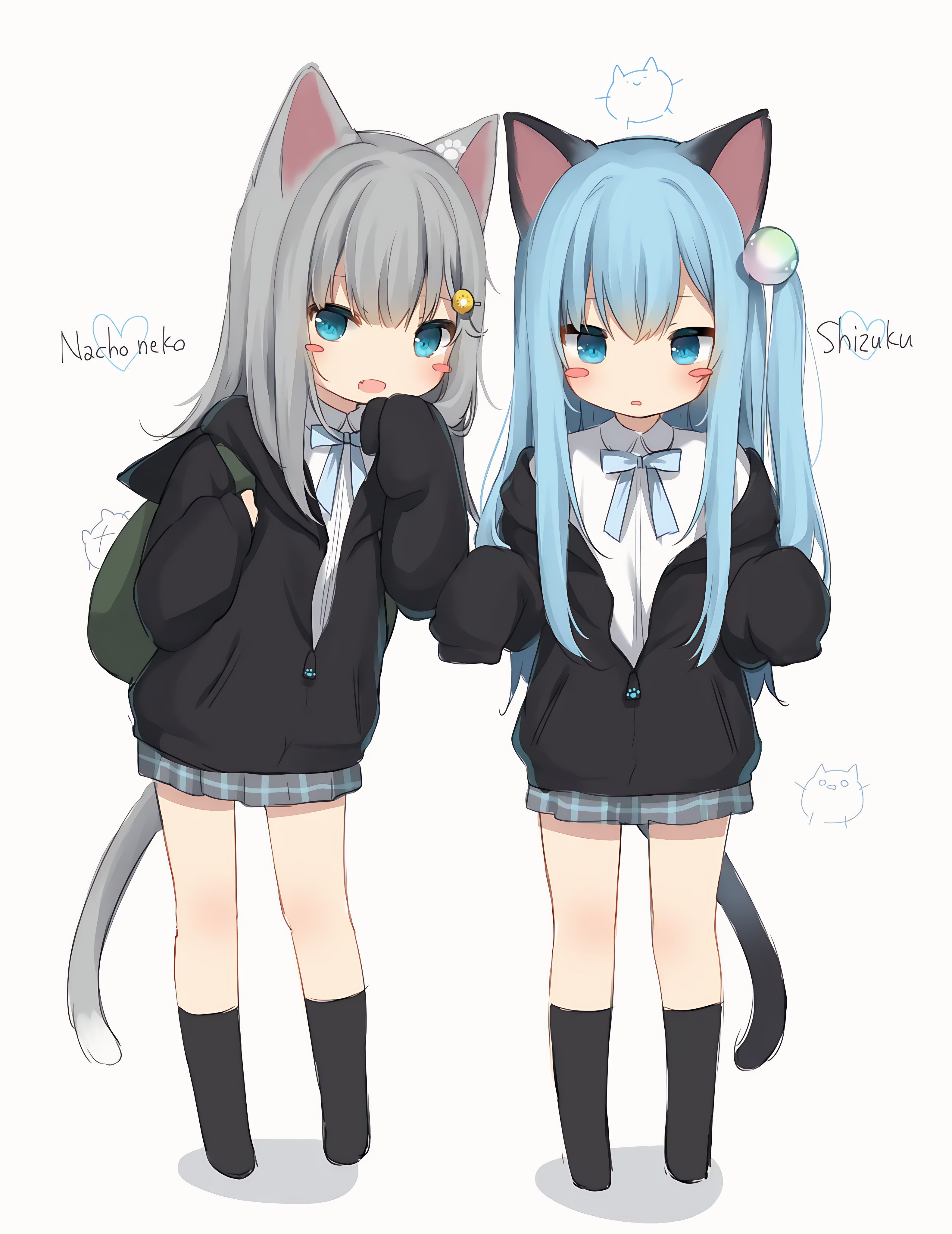 二次元,萝莉,猫娘,好图分享