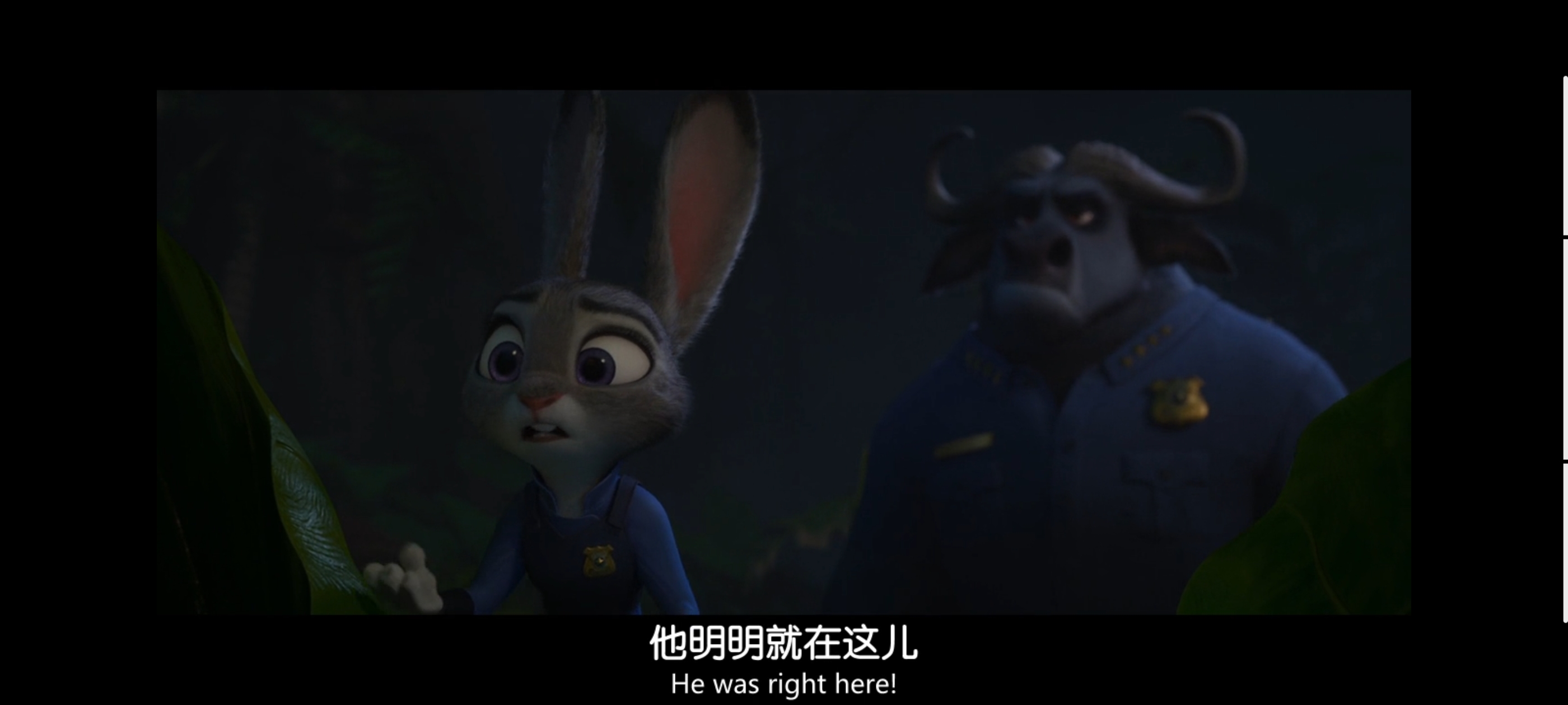 疯狂动物城,动画电影,动漫,动画,电影,二次元,ACG