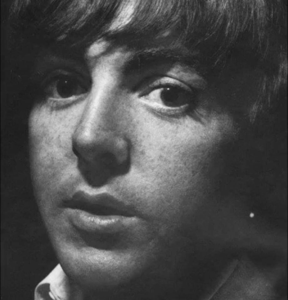 披头士,Thebeatles,Beatlemania,beatle,约翰列侬,保罗麦卡特尼,林戈斯塔尔,乔治哈里森