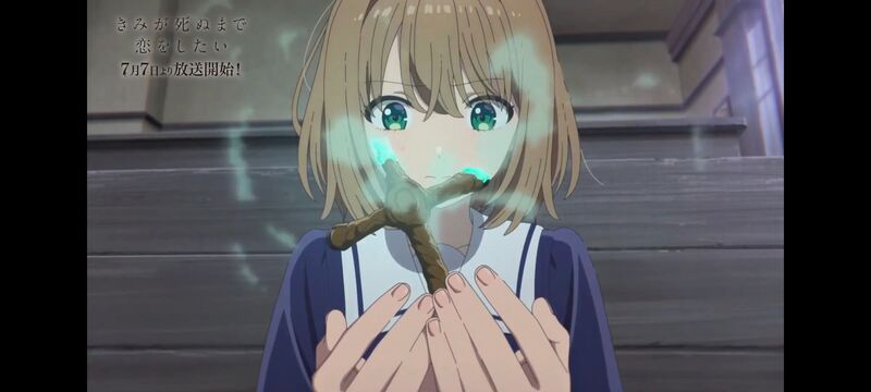 与你相恋到生命尽头,与你相恋到世界尽头,动画,动漫,番剧,百合,二次元,ACG