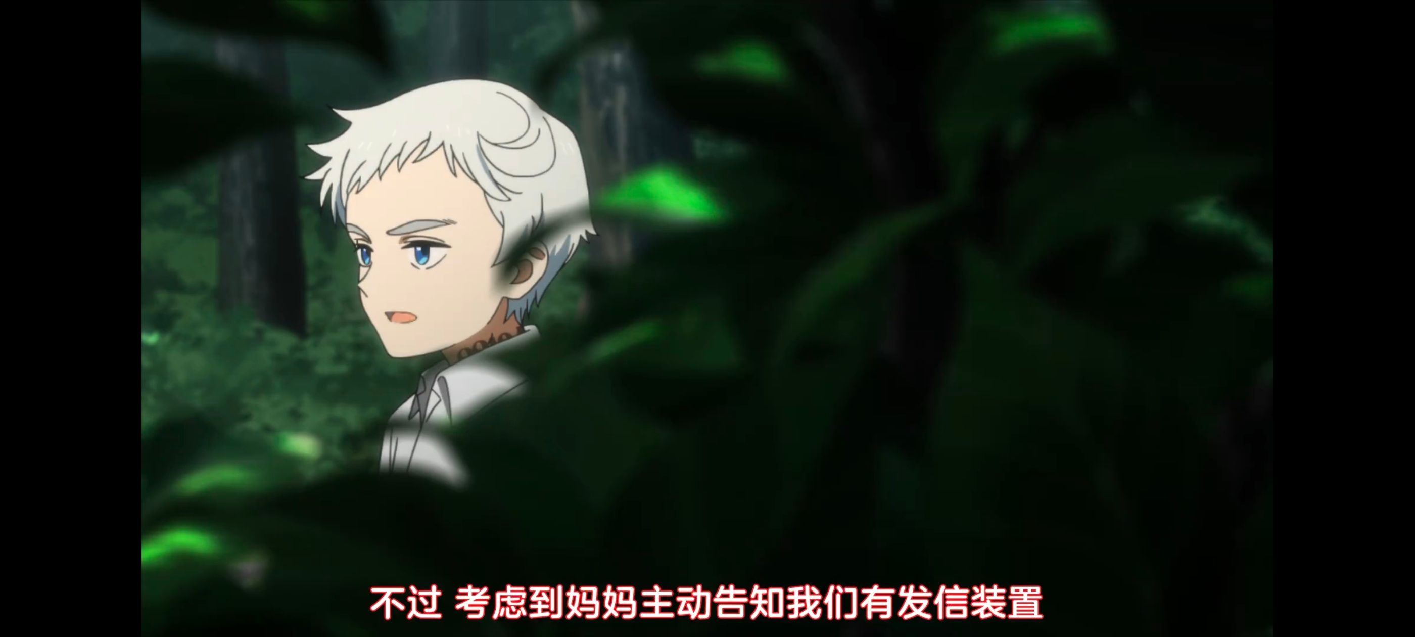 约定的梦幻岛,动画,动漫,番剧,ACG