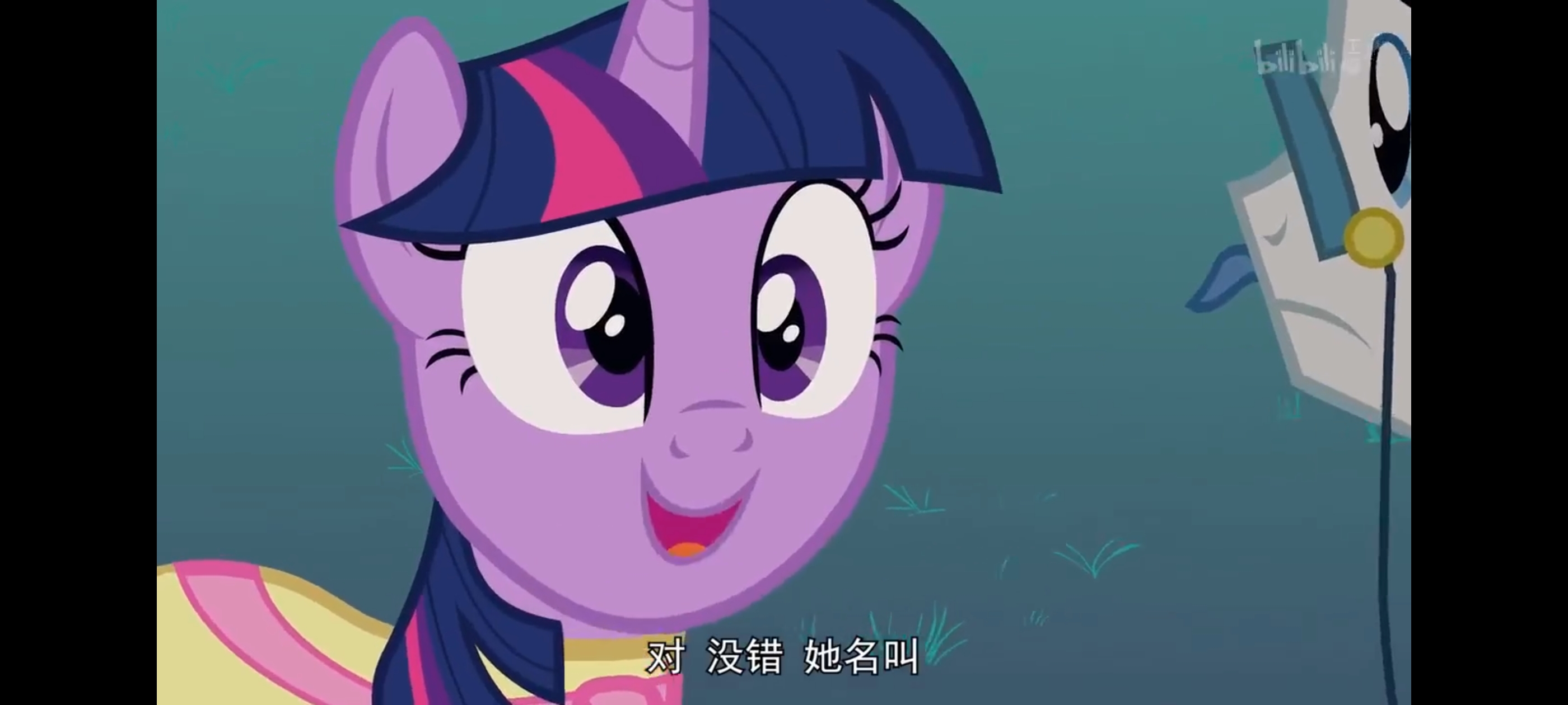 小马宝莉,彩虹小马,我的小马驹,动画,动漫,番剧,ACG