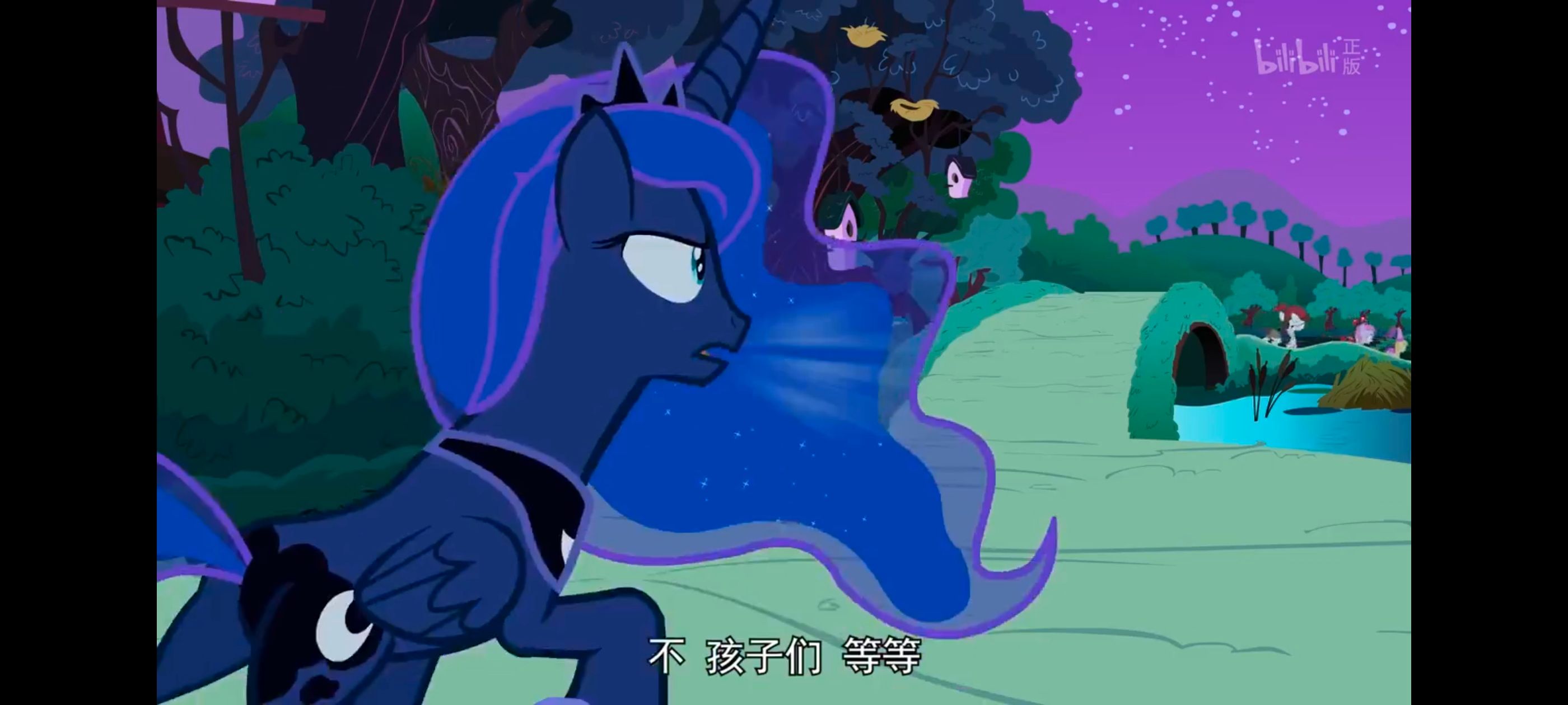 小马宝莉,小马宝莉友谊魔法,彩虹小马,我的小马驹,动漫,动画,番剧,ACG