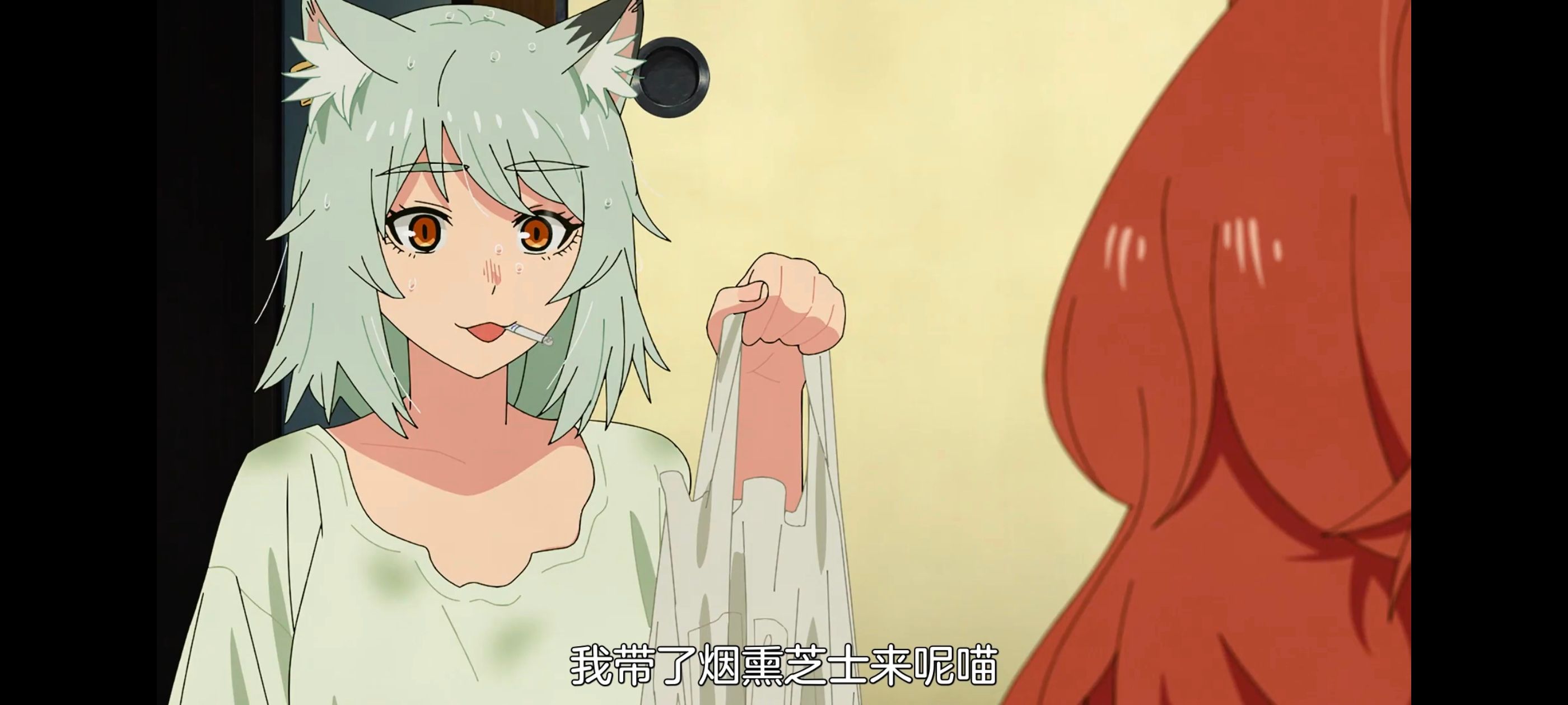 雅尼猫,尼古喵喵,动画,动漫,番剧,日漫,二次元,ACG