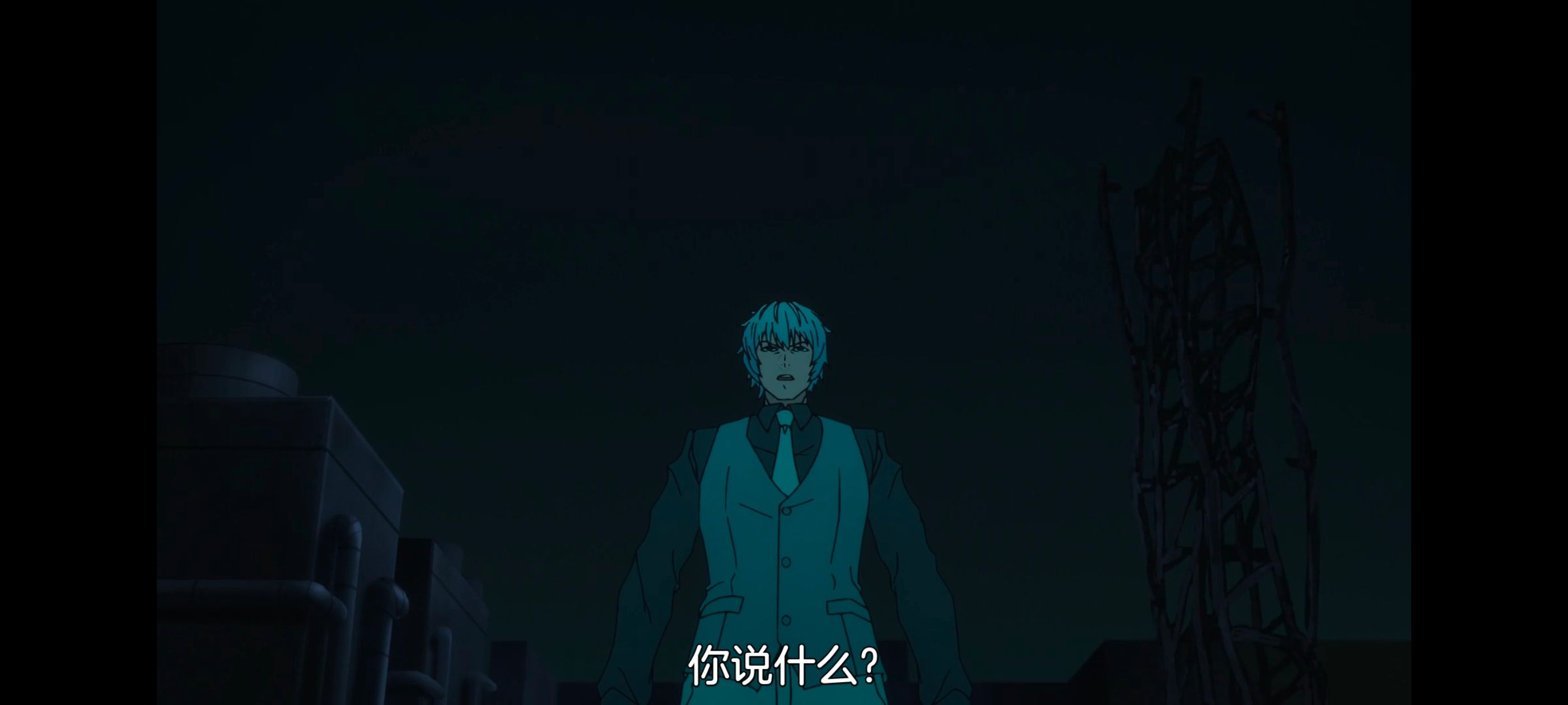 命运奇异赝品,FatestrangeFake,动画,动漫,番剧,ACG