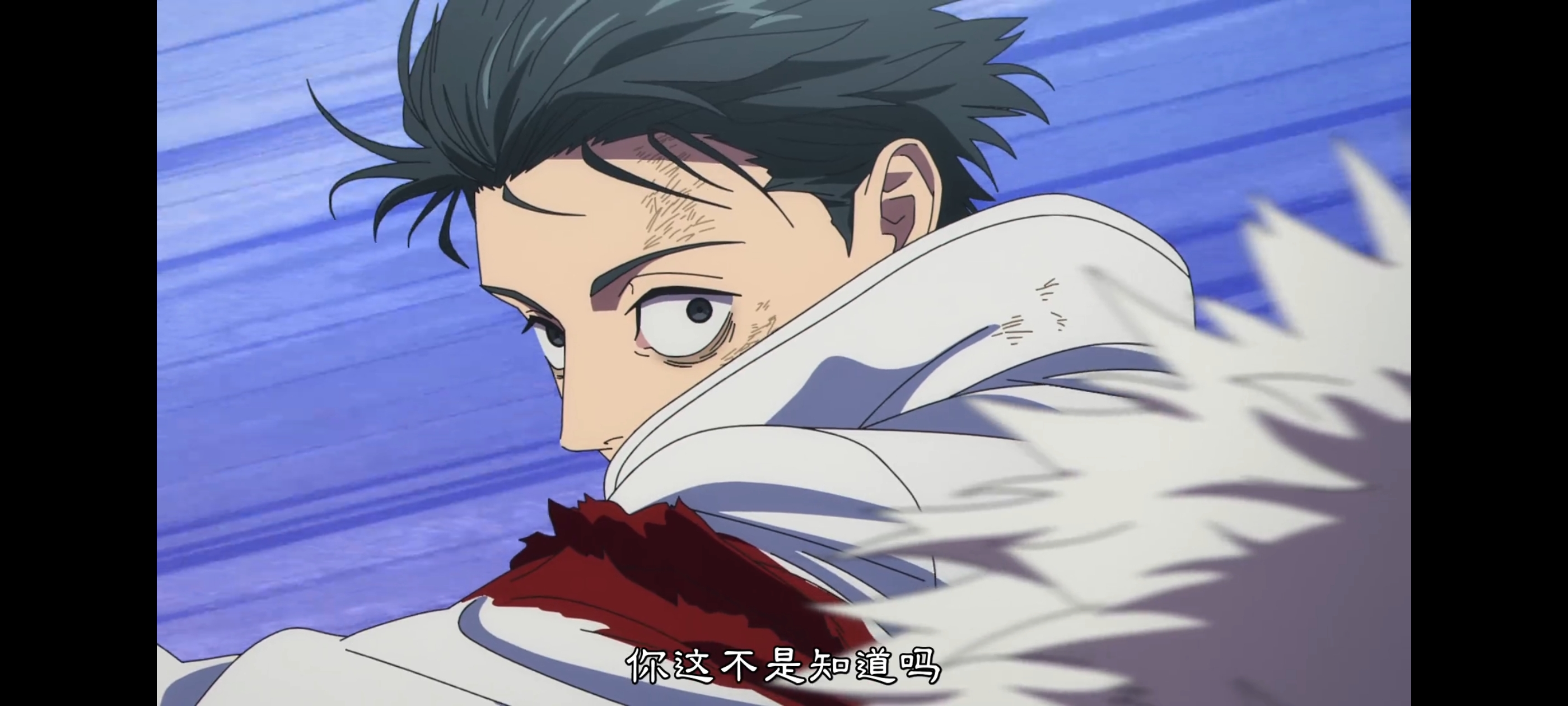 咒术回战,咒术回战死灭回游,动画,动漫,番剧,二次元,ACG