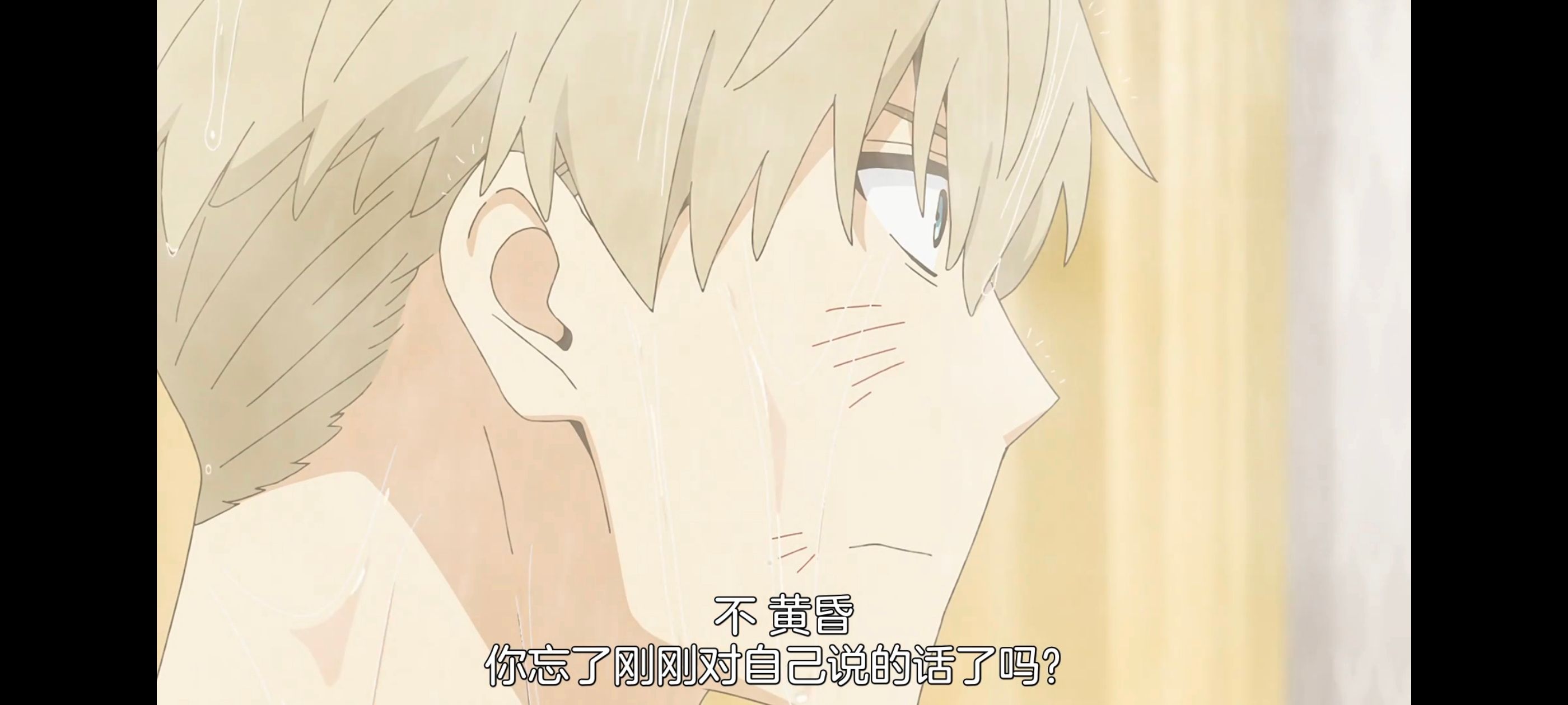 间谍过家家,SPYFAMILY,动画,动漫,番剧,ACG