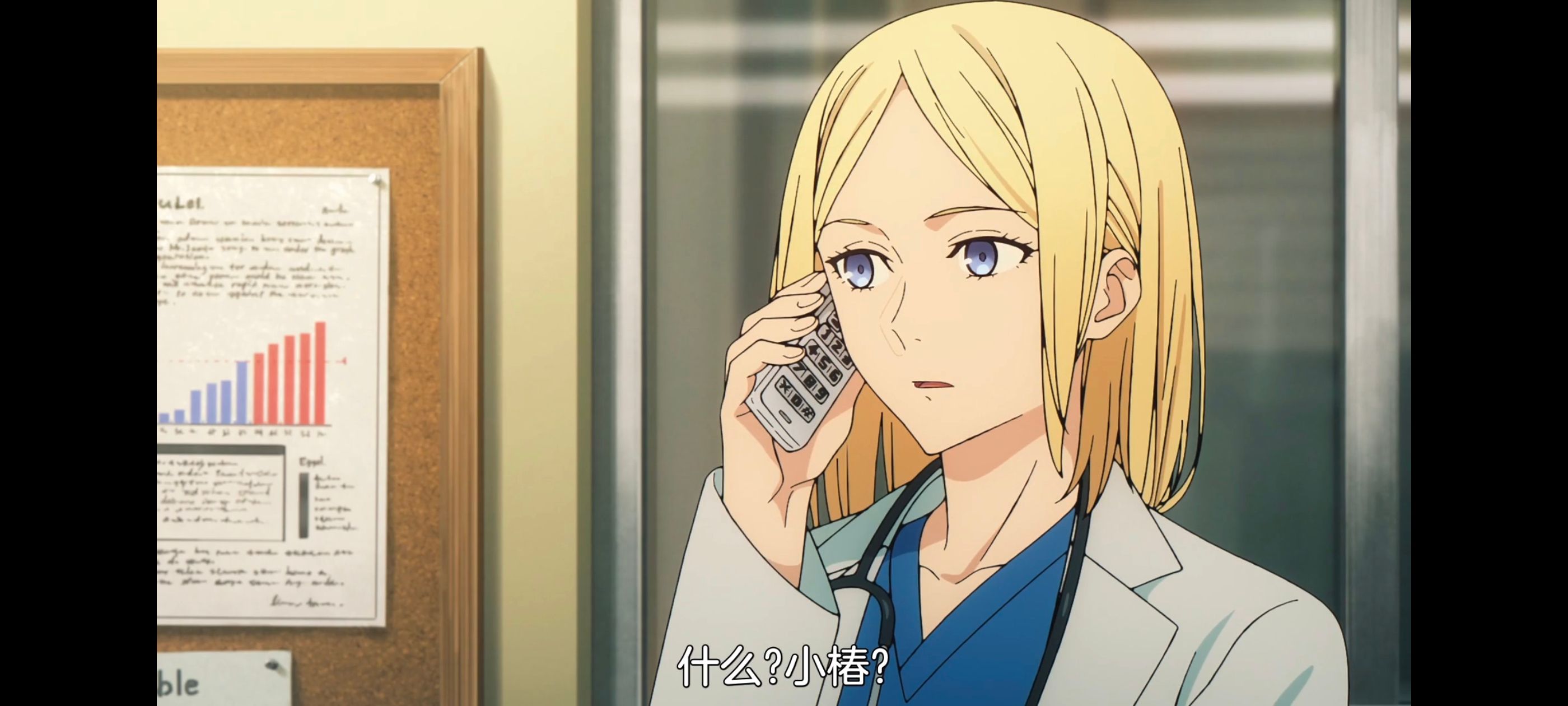 命运奇异赝品,FatestrangeFake,FATE,动画,动漫,番剧,二次元,ACG