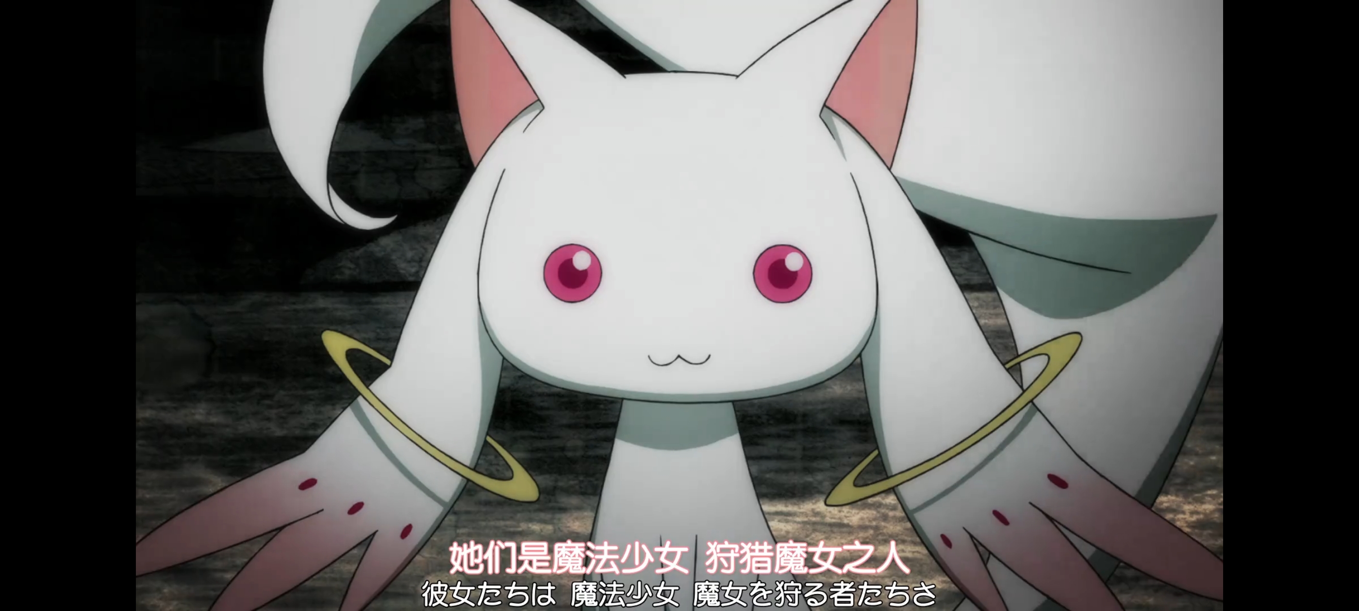 魔法少女小圆,魔法少女,动画,动漫,二次元,ACG