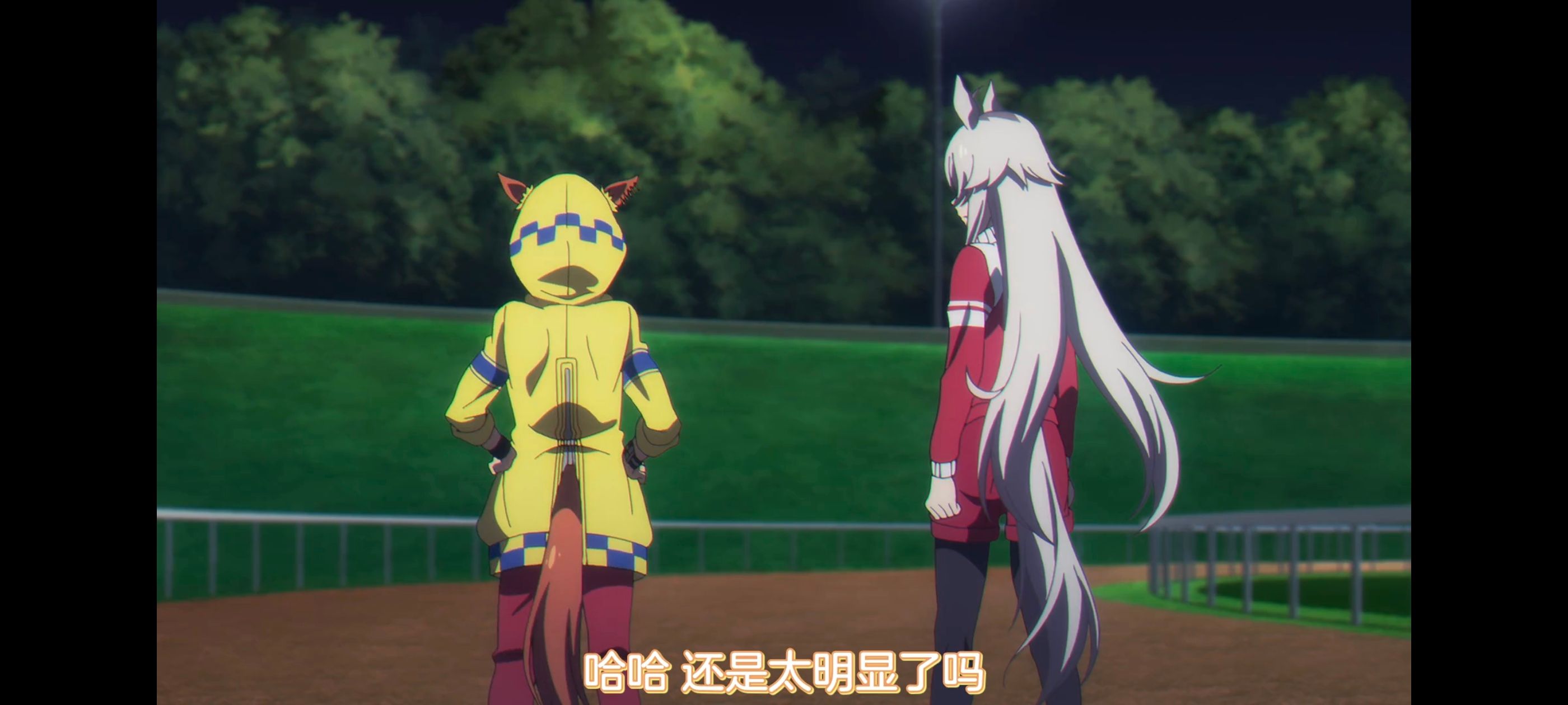 赛马娘,赛马娘PrettyDreby,芦毛灰姑娘,赛马娘芦毛灰姑娘,动画,动漫,番剧,ACG