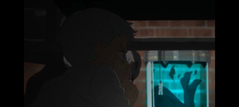 约定的梦幻岛,动画,动漫,番剧,ACG