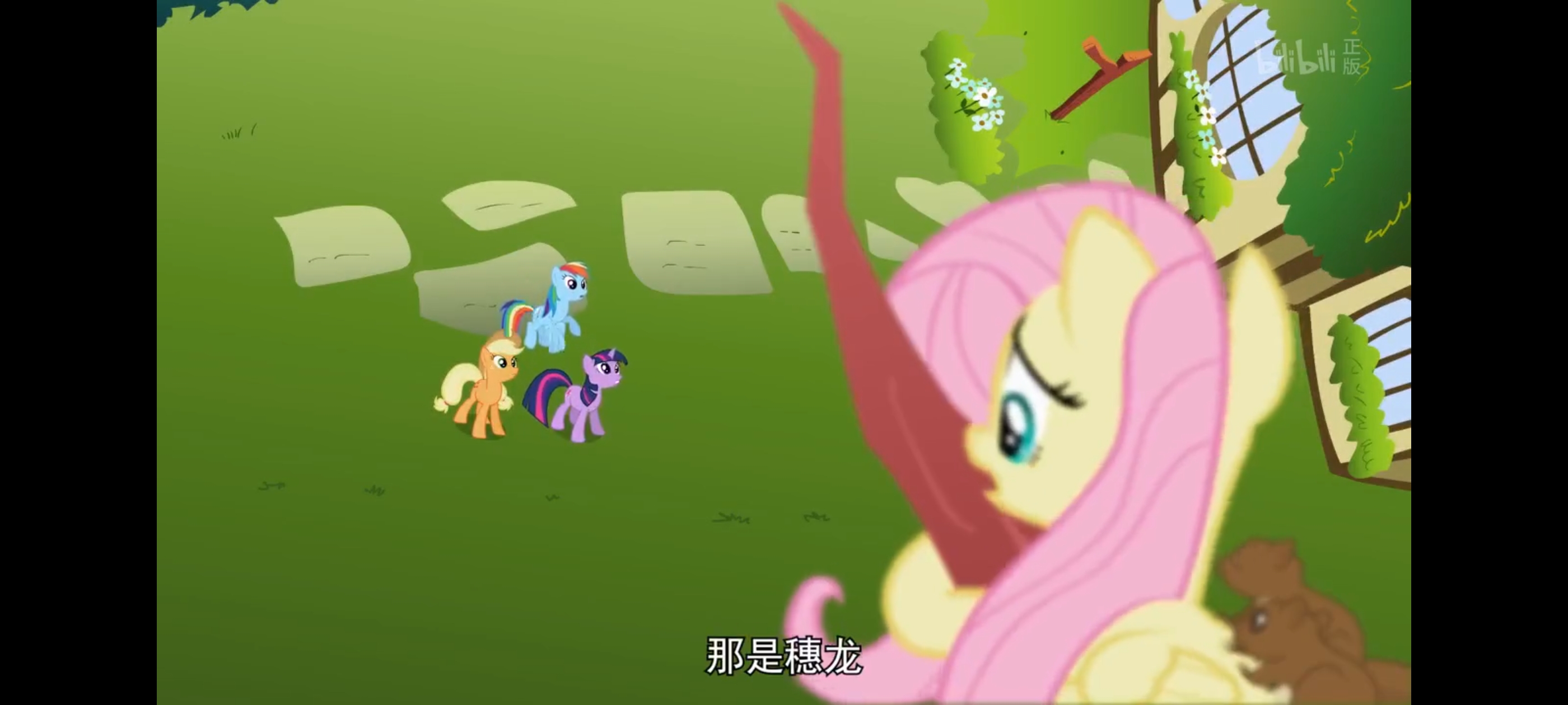 小马宝莉,彩虹小马,我的小马驹,动画,动漫,番剧,二次元,ACG