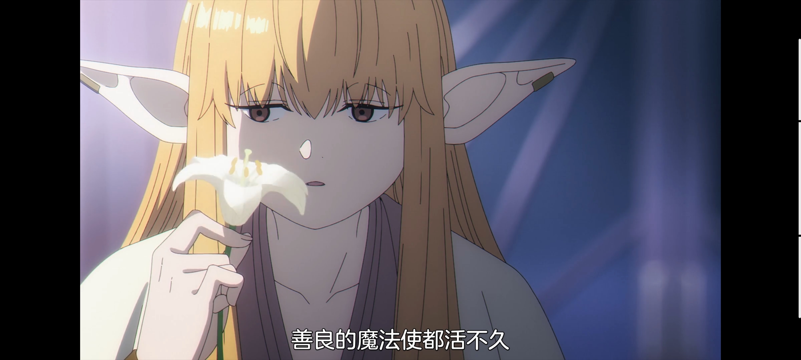 葬送的芙莉莲,动画,动漫,番剧,ACG,二次元