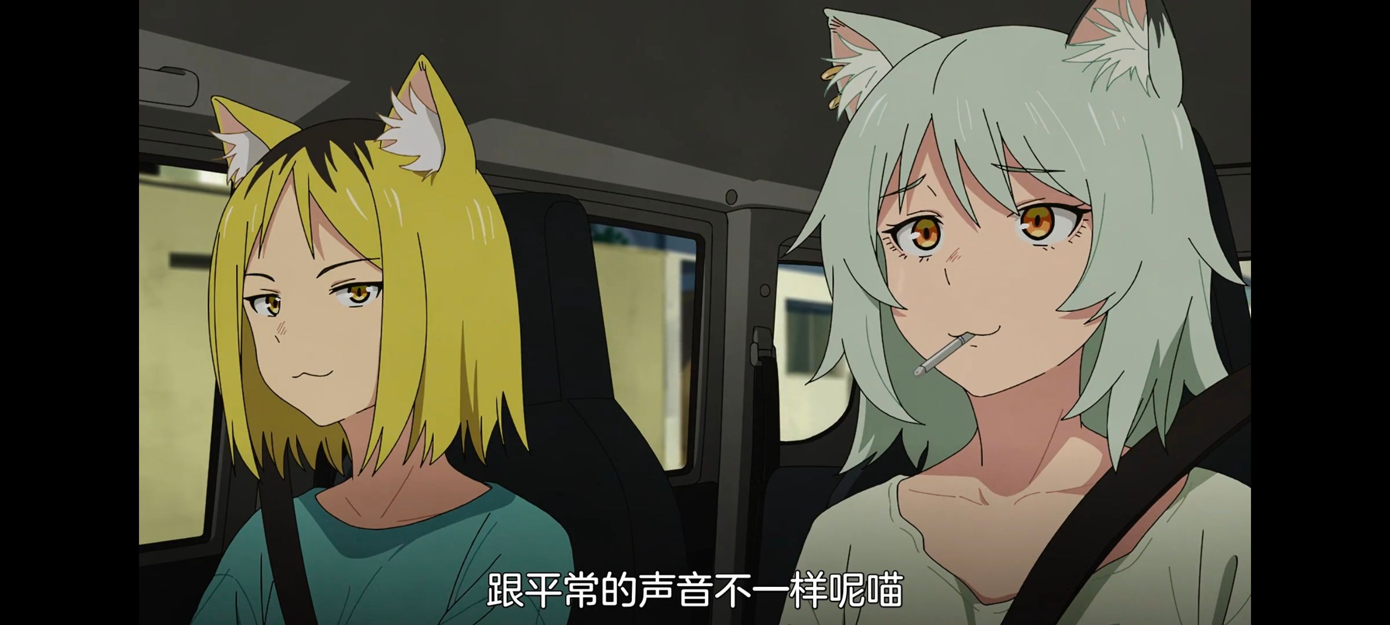 雅尼猫,尼古喵喵,动画,动漫,番剧,日漫,二次元,ACG