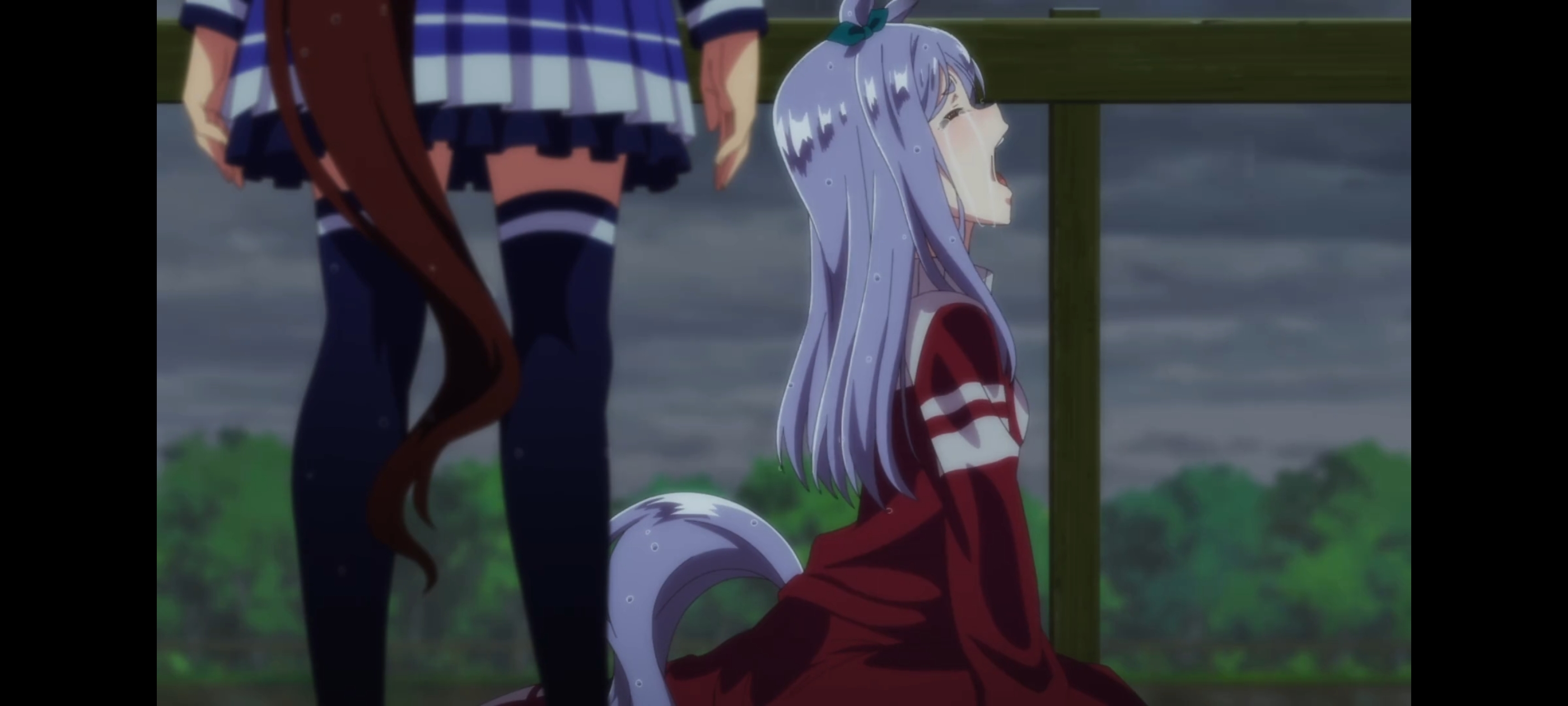 赛马娘,赛马娘第二季,赛马娘PrettyDerby,动画,动漫,番剧,二次元,ACG