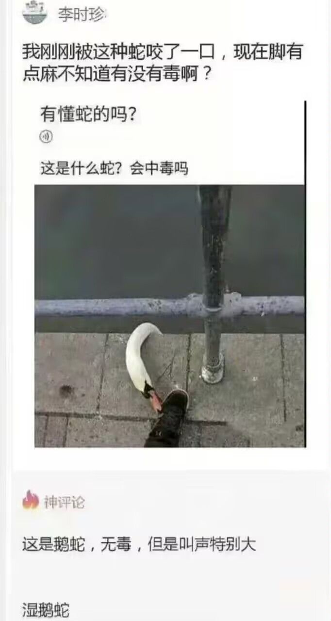 /static/ad9ac0d83a311e941cf9ccd93950f8c1534134ecaf034b506733a3986c94c149.jpg