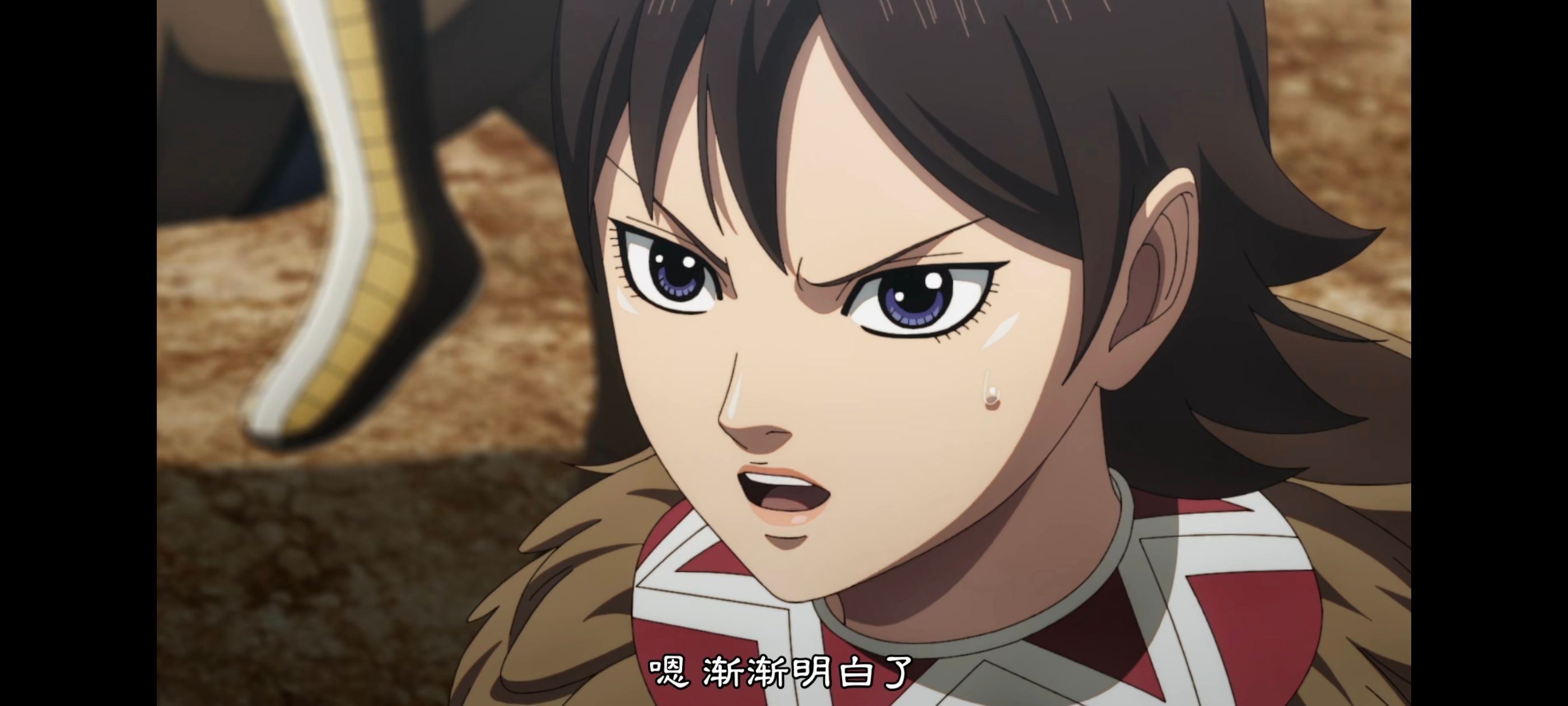 王者天下,动画,动漫,番剧,ACG