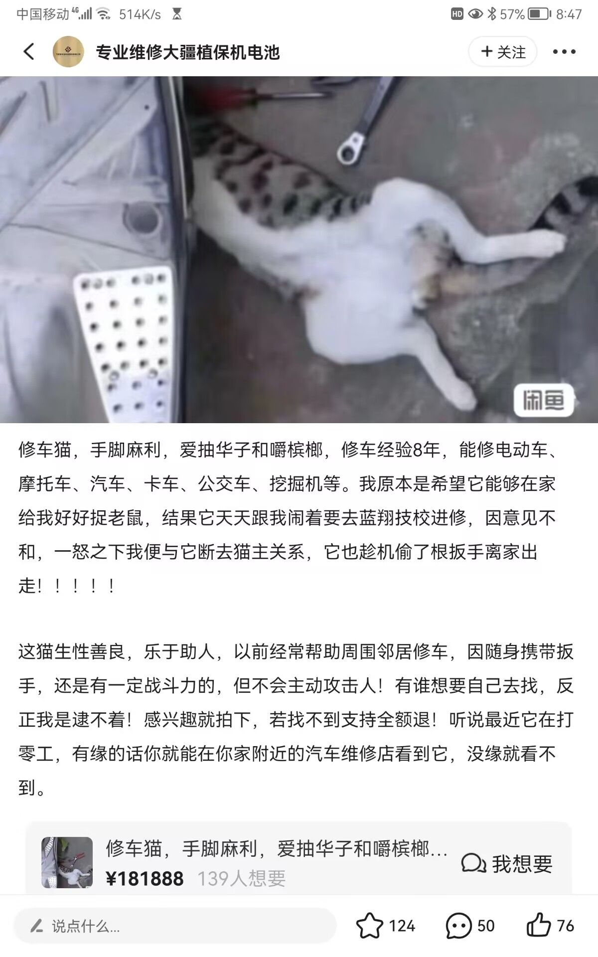 弔图,meme,迷因