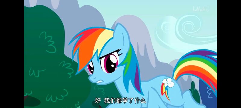 小马宝莉,小马宝莉友谊魔法,彩虹小马,我的小马驹,动画,动漫,番剧,ACG