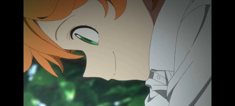 约定的梦幻岛,动画,动漫,番剧,ACG