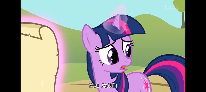 小马宝莉,小马宝莉友谊魔法,彩虹小马,我的小马驹,动画,动漫,番剧,ACG