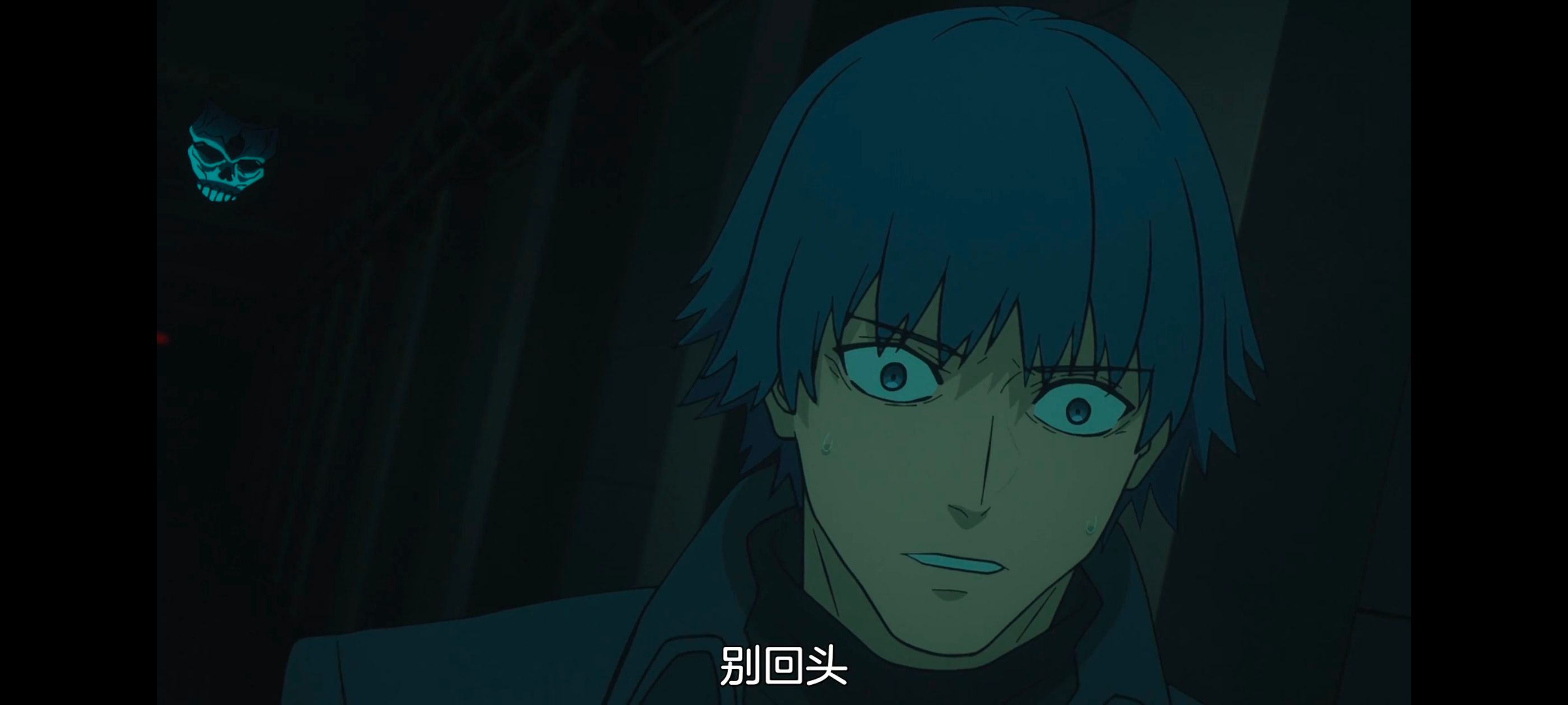 命运奇异赝品,FatestrangeFake,动画,动漫,番剧,ACG