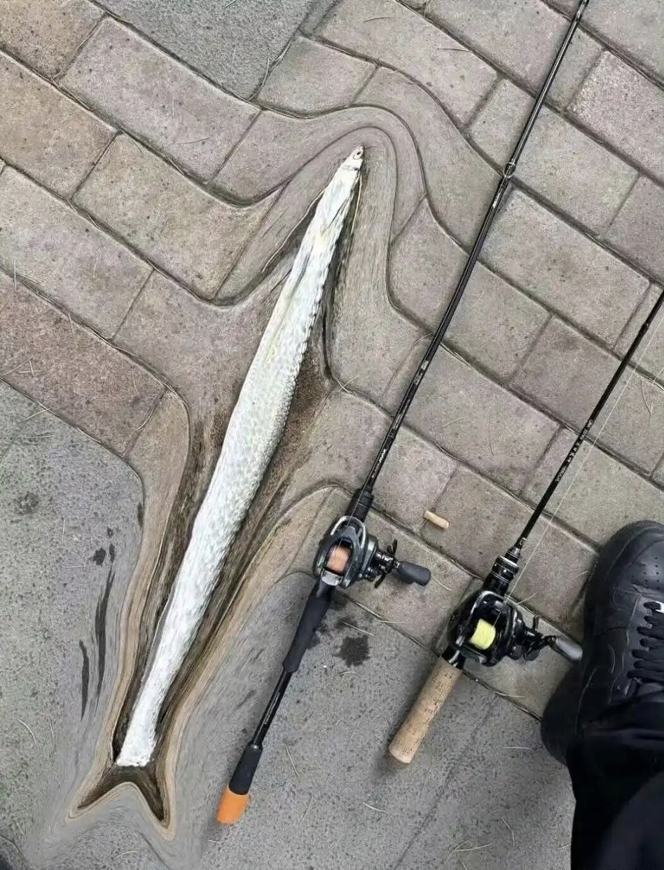 吊图,搞笑,日常