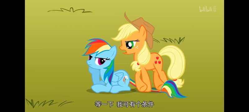 小马宝莉,小马宝莉友谊魔法,彩虹小马,我的小马驹,动画,动漫,番剧,ACG