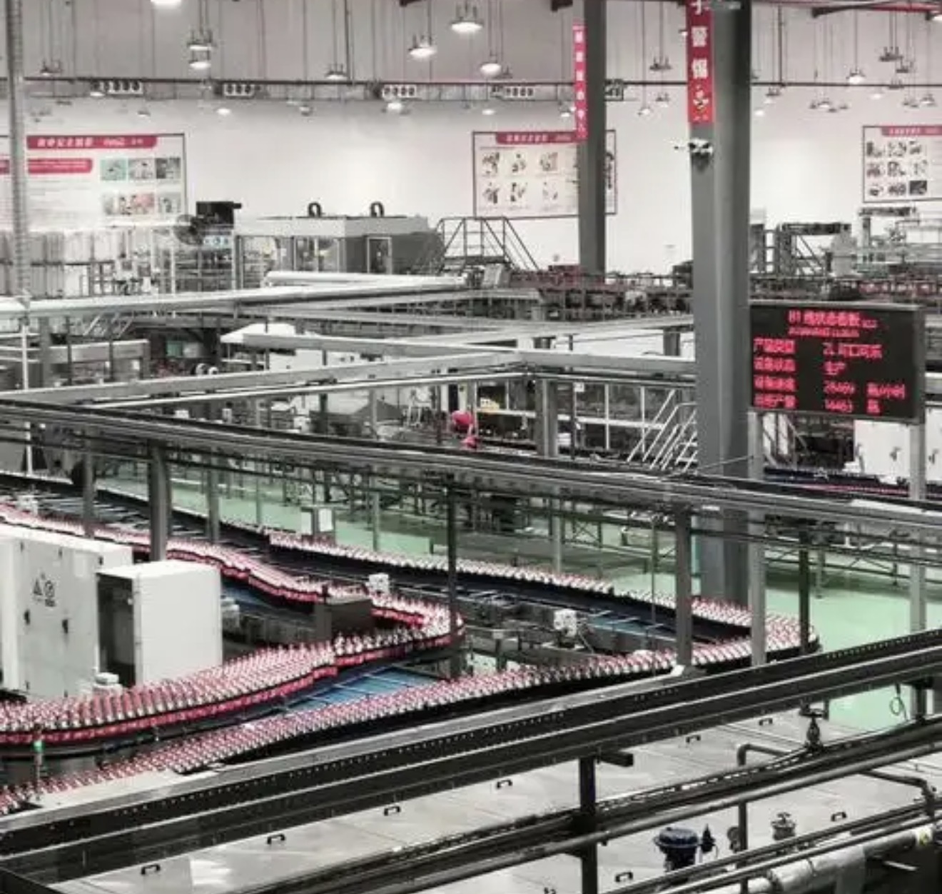 可乐,蓝与白工作室