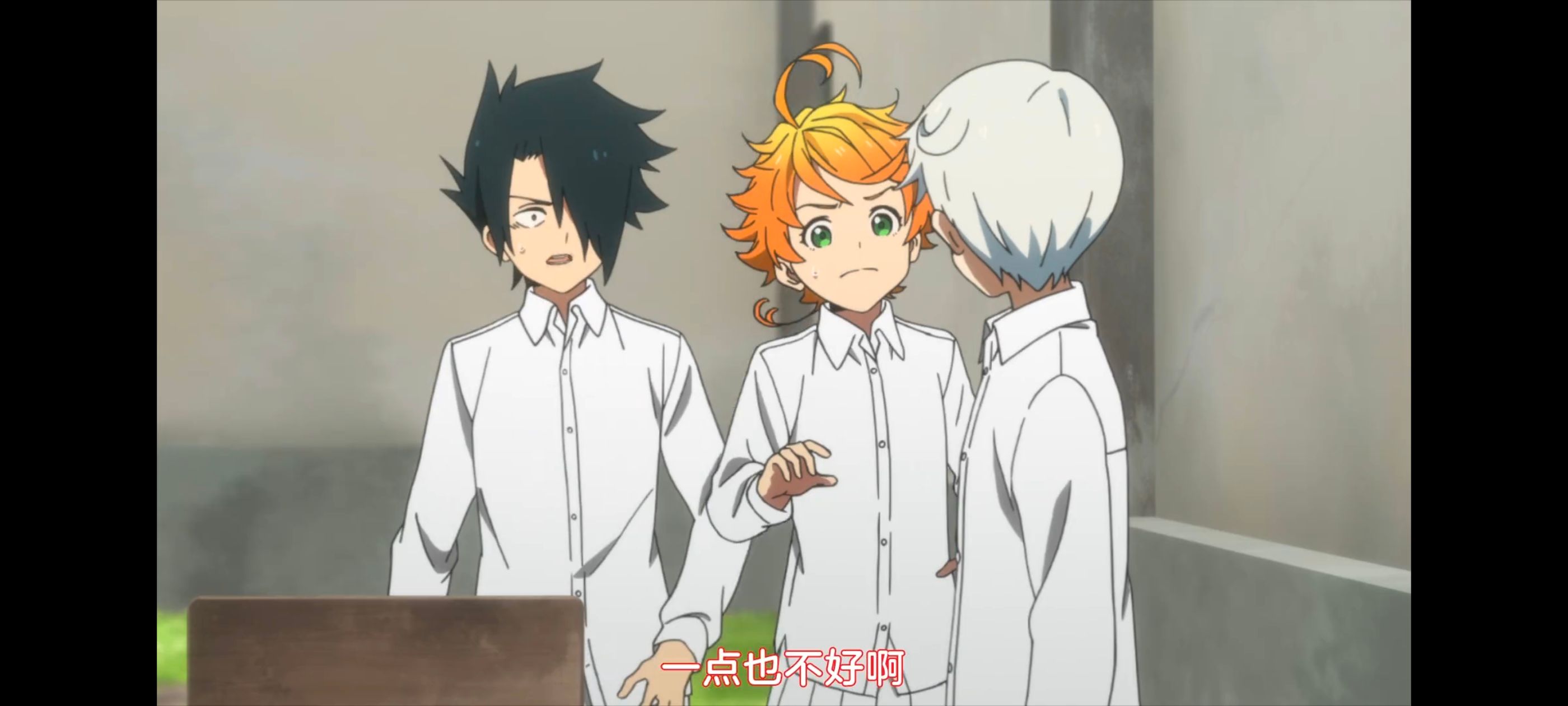 约定的梦幻岛,动画,动漫,番剧,ACG