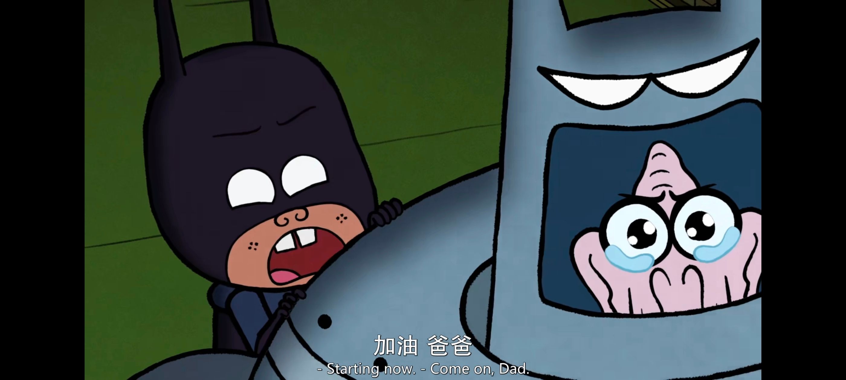 蝙蝠侠家族,蝙蝠侠一家,动画,动漫,番剧,ACG