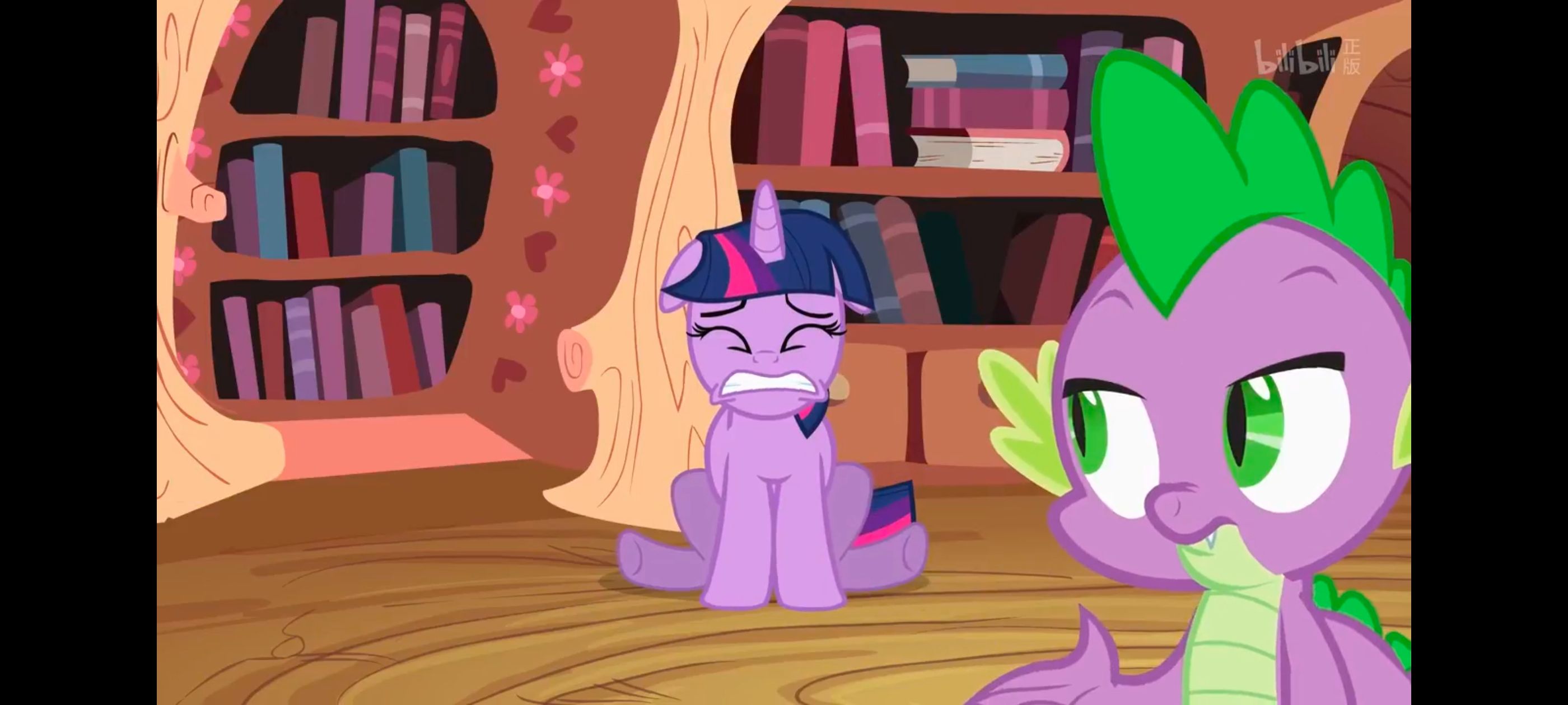 小马宝莉,小马宝莉友谊魔法,彩虹小马,我的小马驹,动画,动漫,番剧,ACG