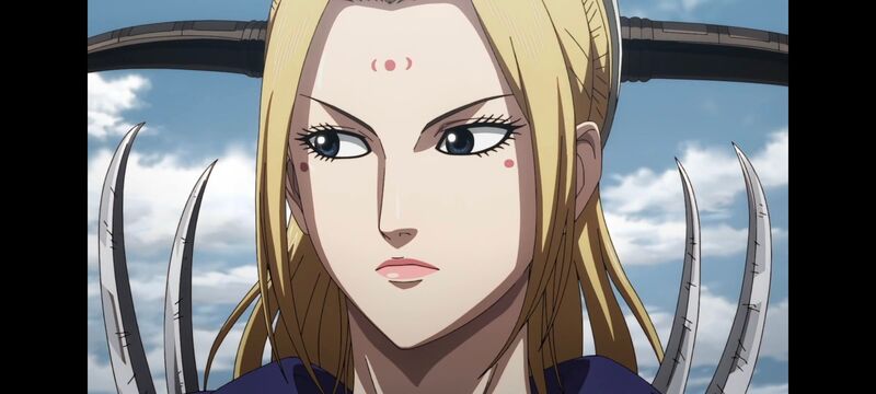 王者天下,动画,动漫,番剧,ACG