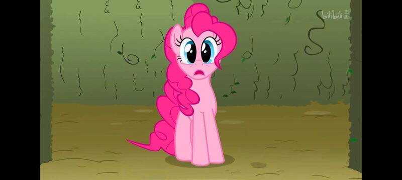 小马宝莉,小马宝莉友谊魔法,彩虹小马,我的小马驹,动画,动漫,番剧,ACG