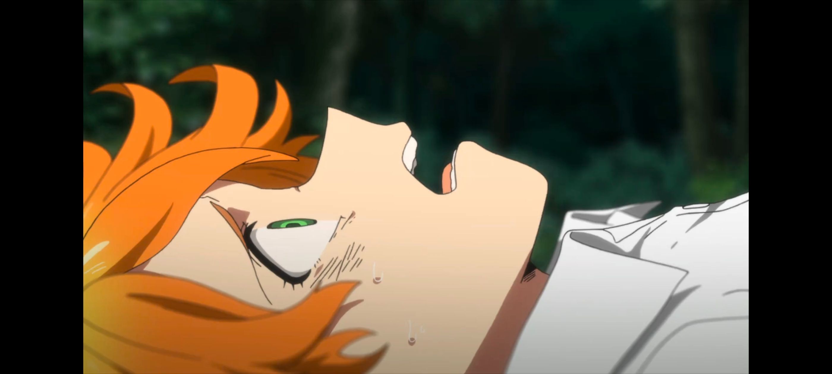 约定的梦幻岛,动画,动漫,番剧,二次元,ACG