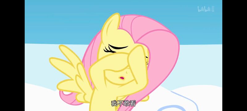 小马宝莉,小马宝莉友谊魔法,彩虹小马,我的小马驹,动画,动漫,番剧,ACG