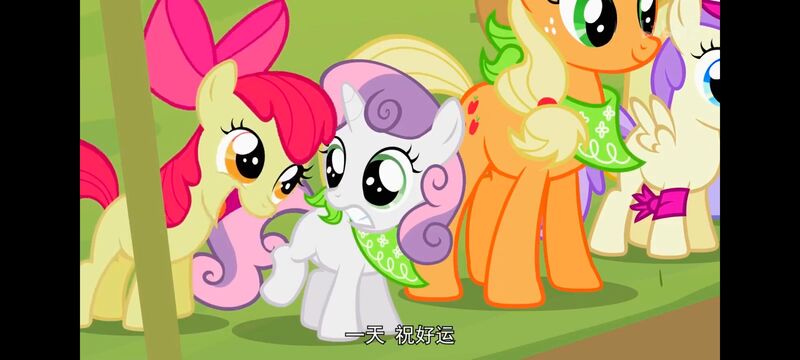 小马宝莉,小马宝莉友谊魔法,彩虹小马,我的小马驹,动画,动漫,番剧,ACG