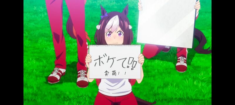 赛马娘,赛马娘PrettyDreby,赛马娘第二季,动画,动漫,番剧,ACG