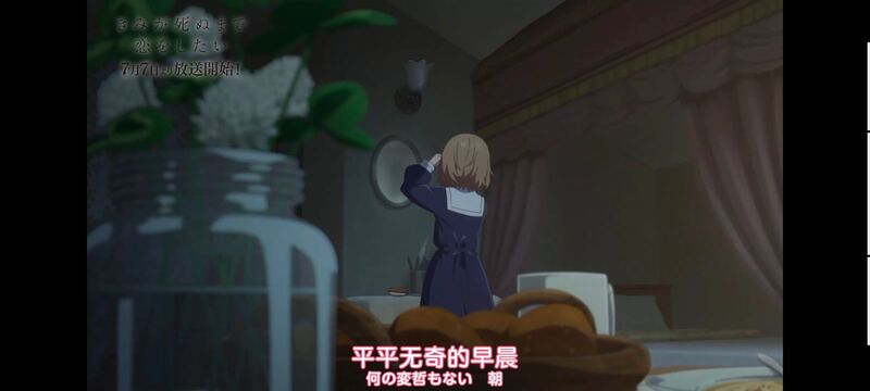 与你相恋到生命尽头,与你相恋到世界尽头,动画,动漫,番剧,百合,二次元,ACG