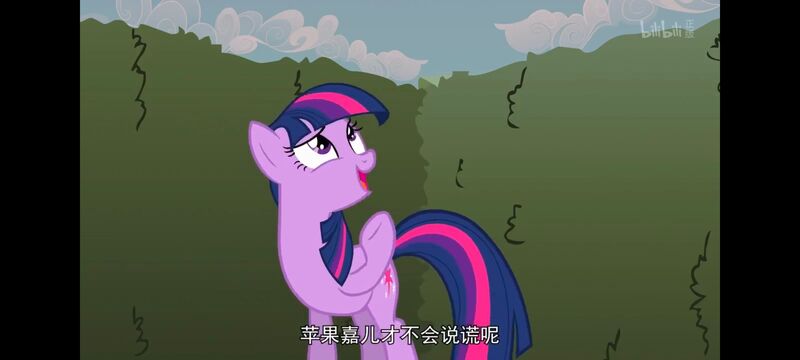 小马宝莉,小马宝莉友谊魔法,彩虹小马,我的小马驹,动画,动漫,番剧,ACG