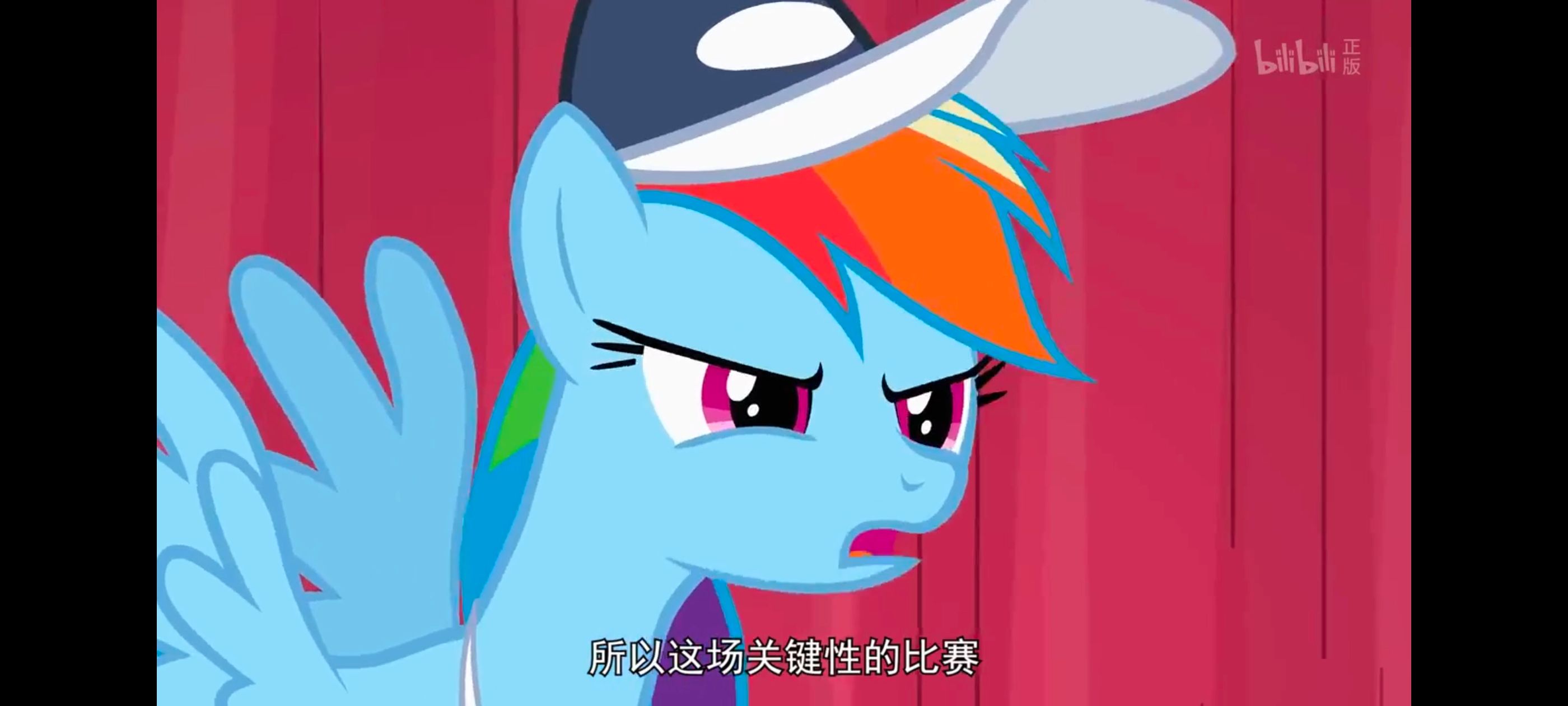 小马宝莉,彩虹小马,我的小马驹,动画,动漫,番剧,二次元,ACG