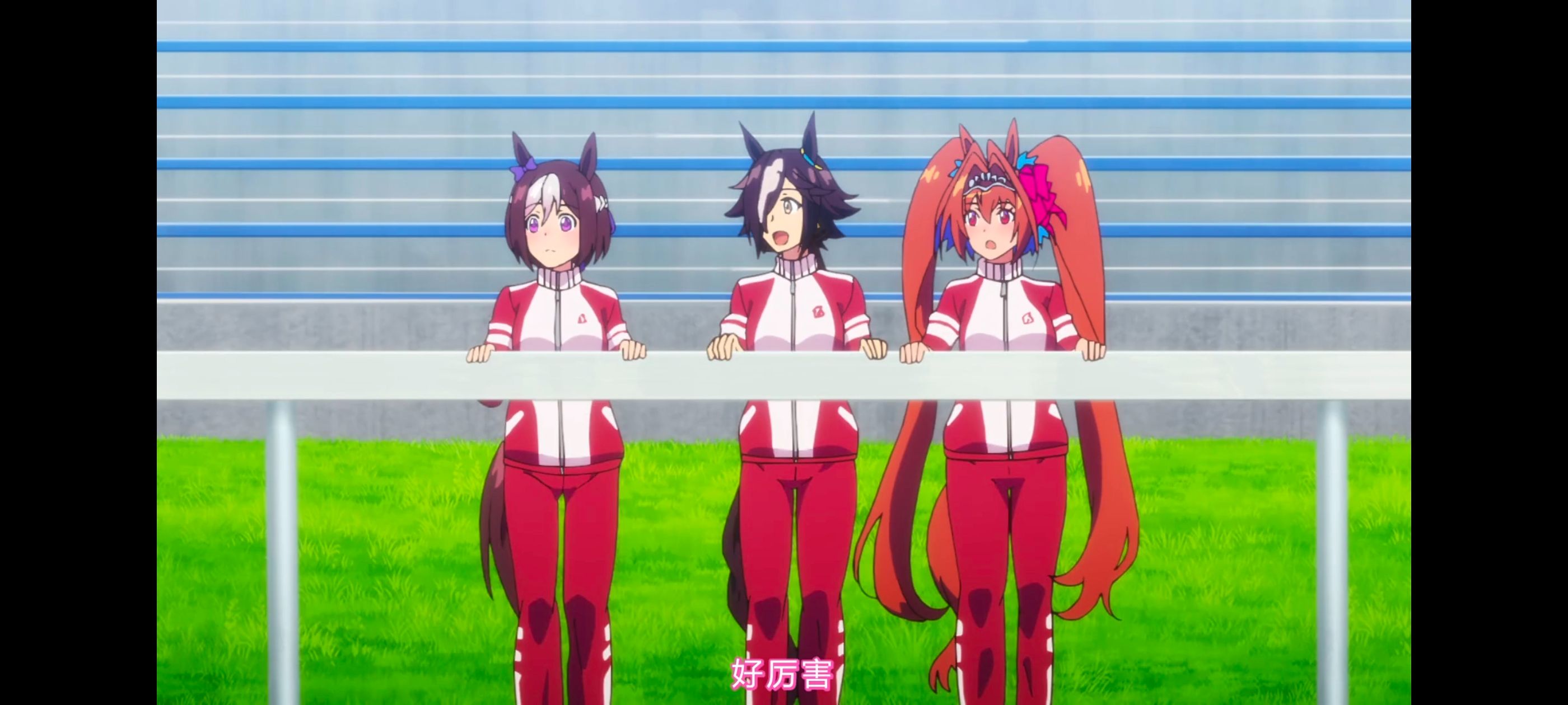 赛马娘,赛马娘PrettyDreby,赛马娘第二季,动画,动漫,番剧,二次元,ACG