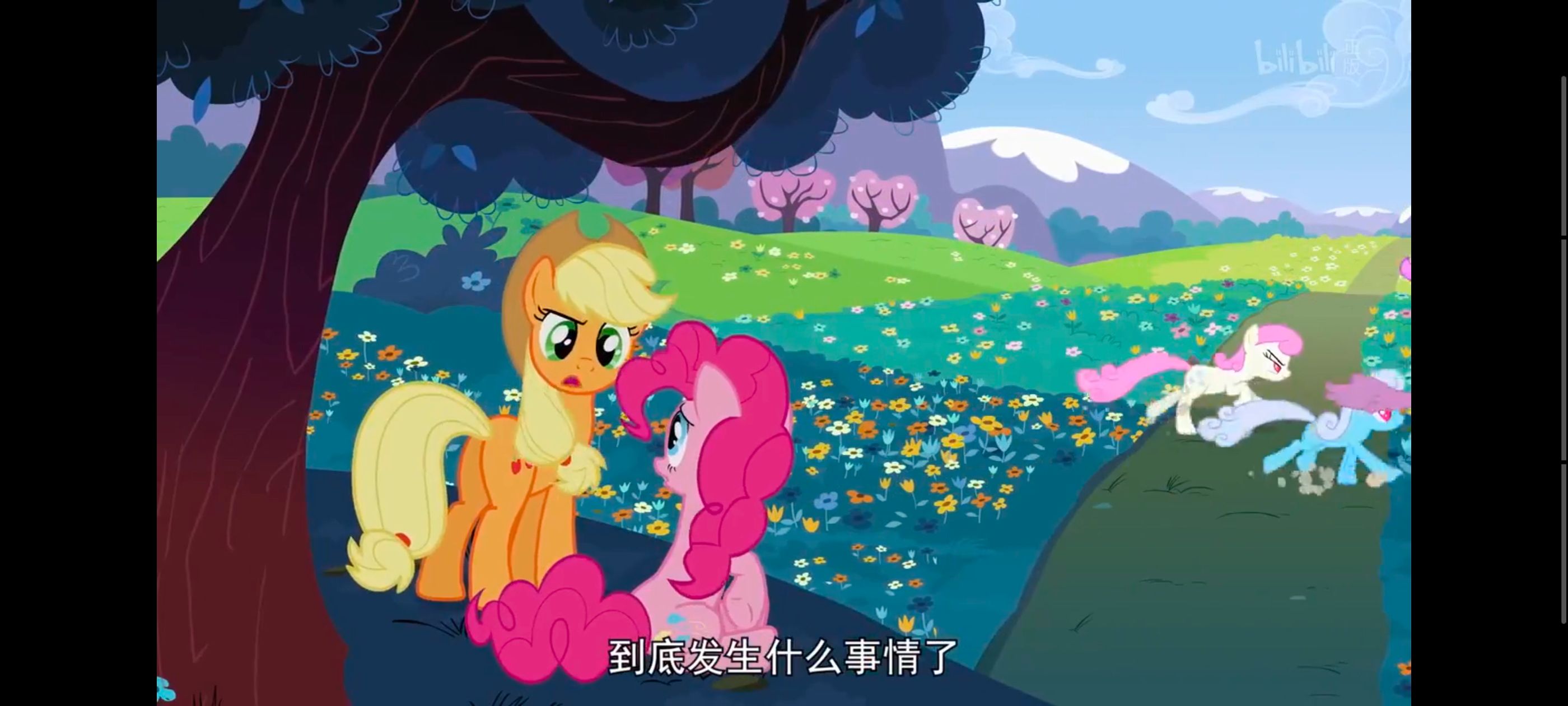 小马宝莉,小马宝莉友谊魔法,彩虹小马,我的小马驹,动画,动漫,番剧,ACG