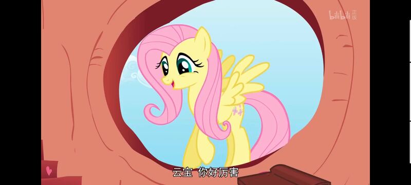 小马宝莉,小马宝莉友谊魔法,彩虹小马,我的小马驹,动画,动漫,番剧,ACG
